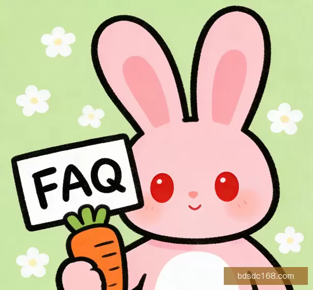 常见问题